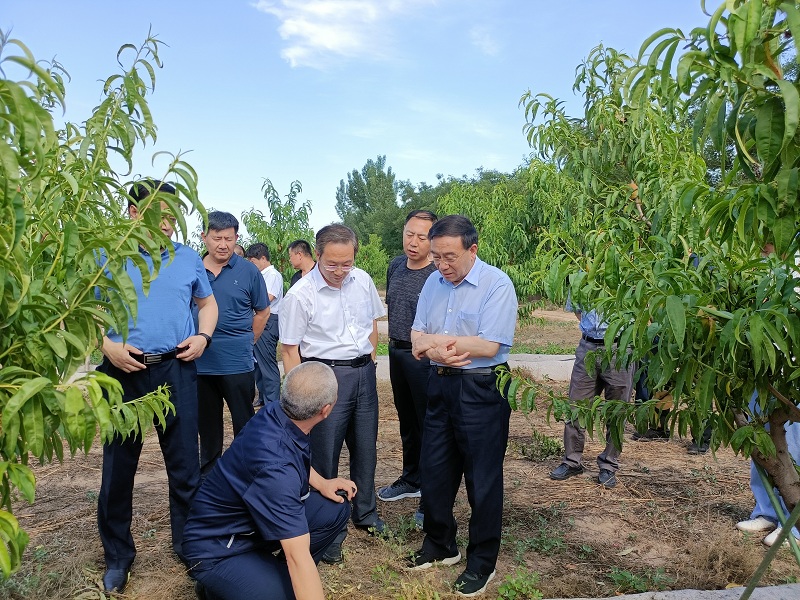 民盟河北省委副主委杨玉成一行来衡就推进全省农业产业快速发展进行专题调研(图2)