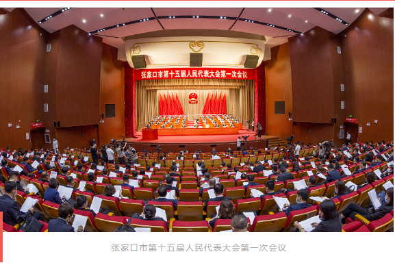 聚焦张家口市“两会”｜民盟界别人大代表履职尽责展风采(图1)