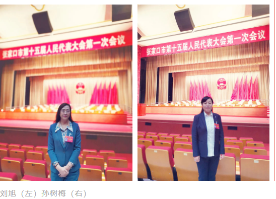 聚焦张家口市“两会”｜民盟界别人大代表履职尽责展风采(图4)