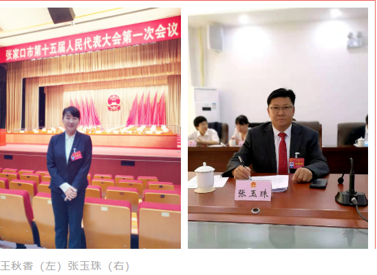 聚焦张家口市“两会”｜民盟界别人大代表履职尽责展风采(图6)