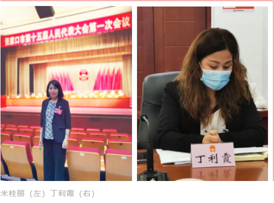 聚焦张家口市“两会”｜民盟界别人大代表履职尽责展风采(图8)