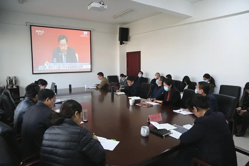 民盟河北省委机关全体集中观看中共十九届六中全会精神新闻发布会(图1)