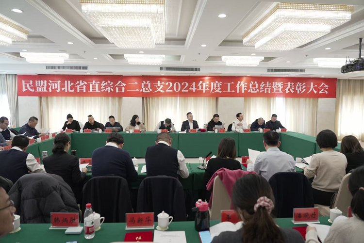 民盟河北省直综合二总支2024年度工作总结表彰大会召开(图1)